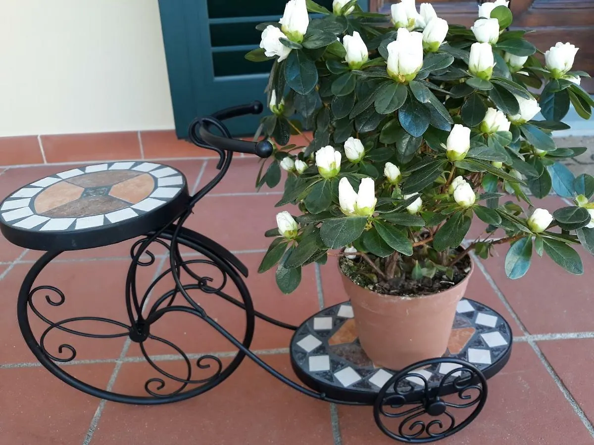 Holiday home Villa Monica Pistoia